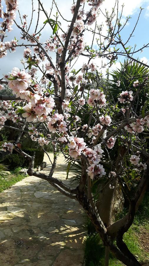 Casale Rocca Russa B&B Villaggio Mosè Kültér fotó